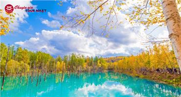 Du Lịch Nhật Bản Mùa Thu Khám Phá Hokkaido
